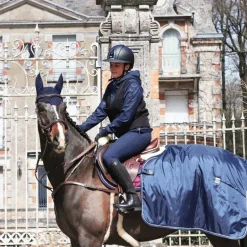 Jump'In - Collier de chasse 5 points + martingale One Noisette