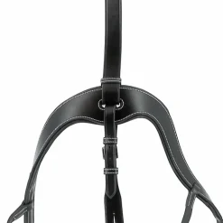 Jump'In - Collier de chasse 5 points + martingale One Noir