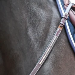 Jump'In - Collier de chasse et fourche de martingale Premium Clincher havane