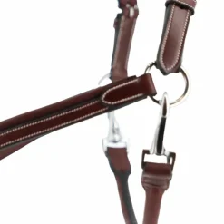Jump'In - Licol cheval Week de pansage Acajou