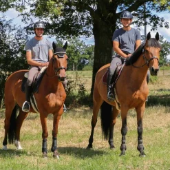 Jump'In - Licol Fancy One Noisette