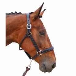 Jump'In - Licol Fancy One noir