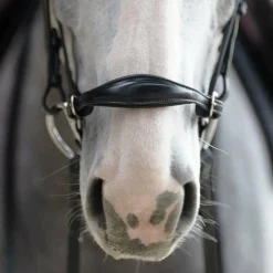 Jump'In - Muserolle allemande Evolution noir