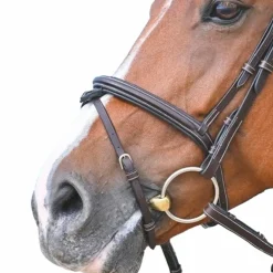 Jump'In - Muserolle combinée Tuesday acajou