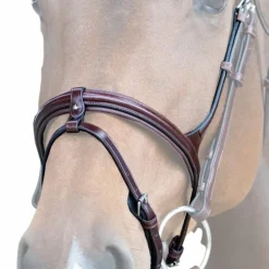 Jump'In - Muserolle combinée Evolution noisette