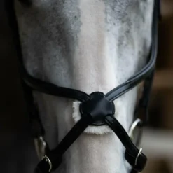 Jump'In - Muserolle croisée Evolution noir