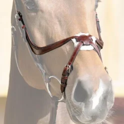 Jump'In - Muserolle croisée Evolution noisette