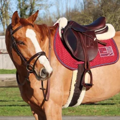Jump'In - Tapis de selle Show One bordeaux/ marine