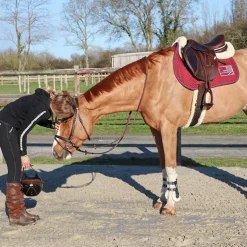 Jump'In - Tapis de selle Show One bordeaux/ marine