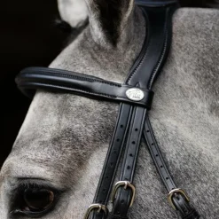 Jump'In - Têtière + rênes Evolution noir