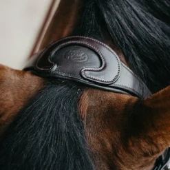 Jump'In - Têtière + rênes Evolution havane