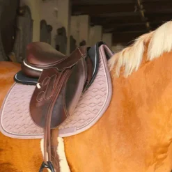 Kentucky Horsewear - Amortisseur pour chevaux Absorb noir/noir