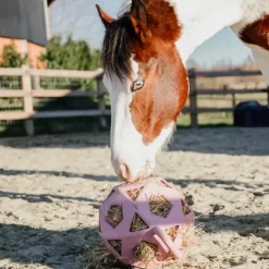 Kentucky Horsewear - Balle de jeu/ foin pour chevaux en caoutchouc vieux rose