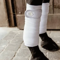 Kentucky Horsewear - Bandes de polo pearls blanc (x4)