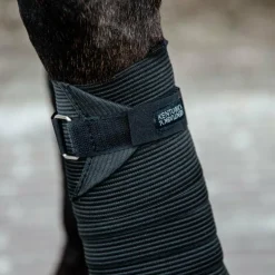 Kentucky Horsewear - Bandes de travail élastiques noir (x2)