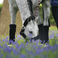 Kentucky Horsewear - Bandes de repos noir (x4)