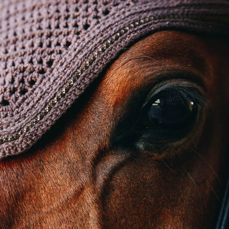 Kentucky Horsewear - Bonnet Wellington Sparkling marron