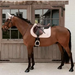 Kentucky Horsewear - Bonnet pour chevaux anti-bruits Wellington Sparkling vieux rose