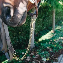Kentucky Horsewear - Chaine d'étalon