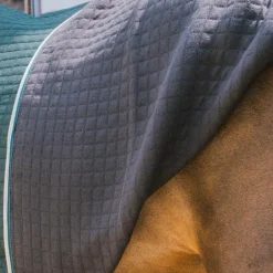 Kentucky Horsewear - Chemise séchante Protherm vert foncé