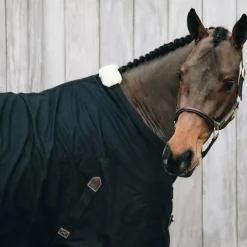 Kentucky Horsewear - Chemise coton noir 0g