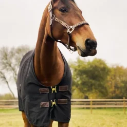 Kentucky Horsewear - Chemise coton noir 0g