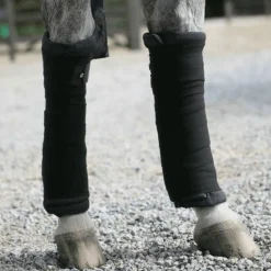 Kentucky Horsewear - Cotons américains noir (x4)