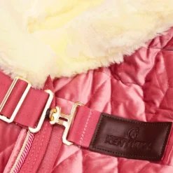Kentucky Horsewear - Couverture de présentation velvet vieux rose pour minis 160g