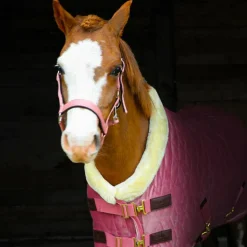 Kentucky Horsewear - Couverture de présentation velvet vieux rose pour minis 160g