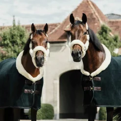 Kentucky Horsewear - Couverture séchante Show heavy verte