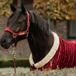 Kentucky Horsewear - Couverture de présentation velvet bordeaux 160g