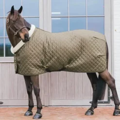 Kentucky Horsewear - Couverture de présentation Show Rug kaki 160g