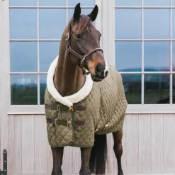 Kentucky Horsewear - Couverture de présentation Show Rug kaki 160g