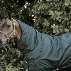 Kentucky Horsewear - Couvre-cou all weather imperméable pro Weather vert 150g