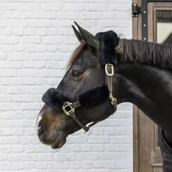 Kentucky Horsewear - Fourreaux de licol mouton noir 4 pcs