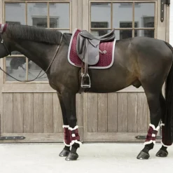Kentucky Horsewear - Guêtres fermées cuir velvet contrast bordeaux x2