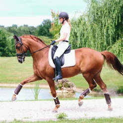 Kentucky Horsewear - Guêtres cheval Turn Out cuir postérieurs marron x2