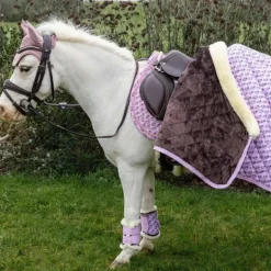 Kentucky Horsewear - Guêtres mouton antérieurs Sammy Collection vieux rose