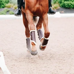 Kentucky Horsewear - Guêtres cheval Turn Out cuir antérieurs marron x2