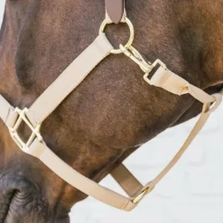 Kentucky Horsewear - Licol nylon Breakaway beige
