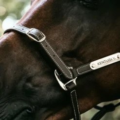 Kentucky Horsewear - Licol en cuir synthétique flexible