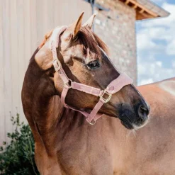 Kentucky Horsewear - Licol polaire Teddy vieux rose