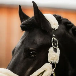 Kentucky Horsewear - Licol de transport mouton blanc
