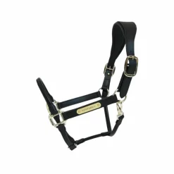 Kentucky Horsewear - Licol anatomique en cuir vegan noir