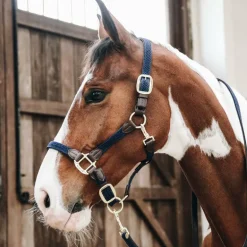 Kentucky Horsewear - Licol nylon tressé marine