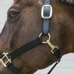 Kentucky Horsewear - Licol nylon Breakaway noir