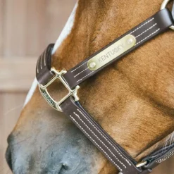 Kentucky Horsewear - Licol en cuir Wellington brun