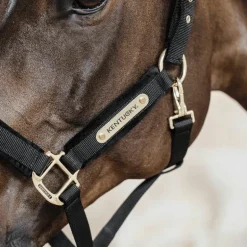 Kentucky Horsewear - Licol Velvet noir