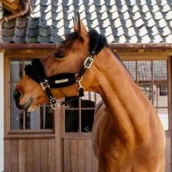 Kentucky Horsewear - Licol nylon mouton soft noir