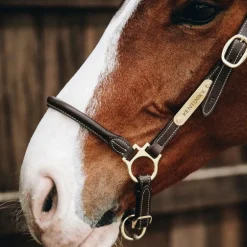 Kentucky Horsewear - Licol de pansage